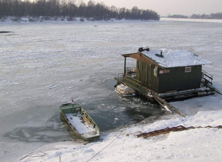 Zale�ena Sava 2012